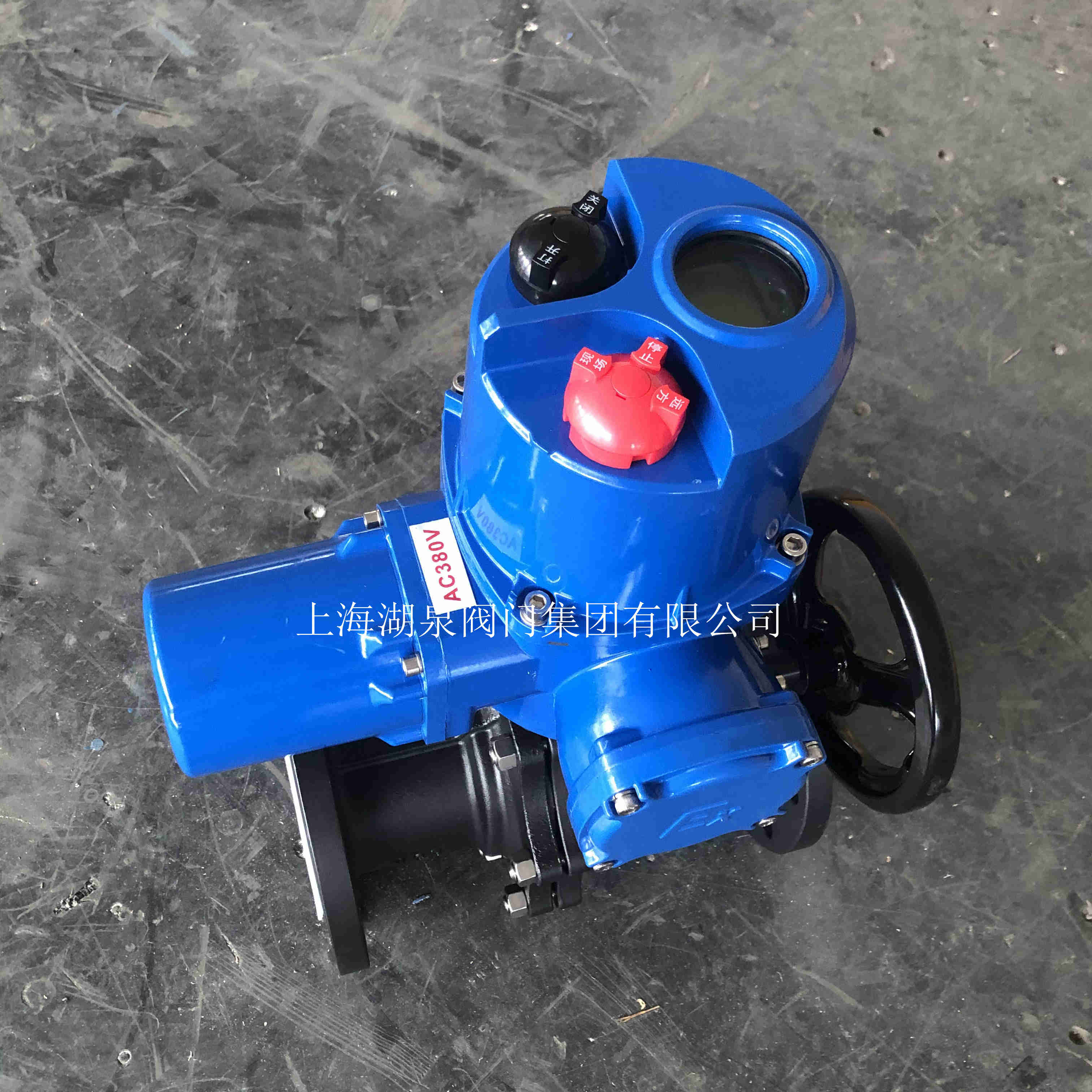 閥門(mén)電動(dòng)裝置生產(chǎn)廠(chǎng)家